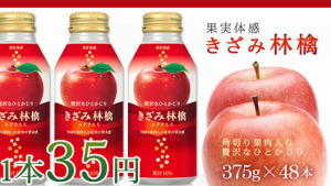 JT飲料『果実体感 きざみ林檎』375gボトル缶×48本 送料込 1,680円！